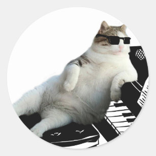 Smug Cat Meme Face - Cat - Sticker