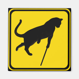 Blind Cats Crossing ! Magnet