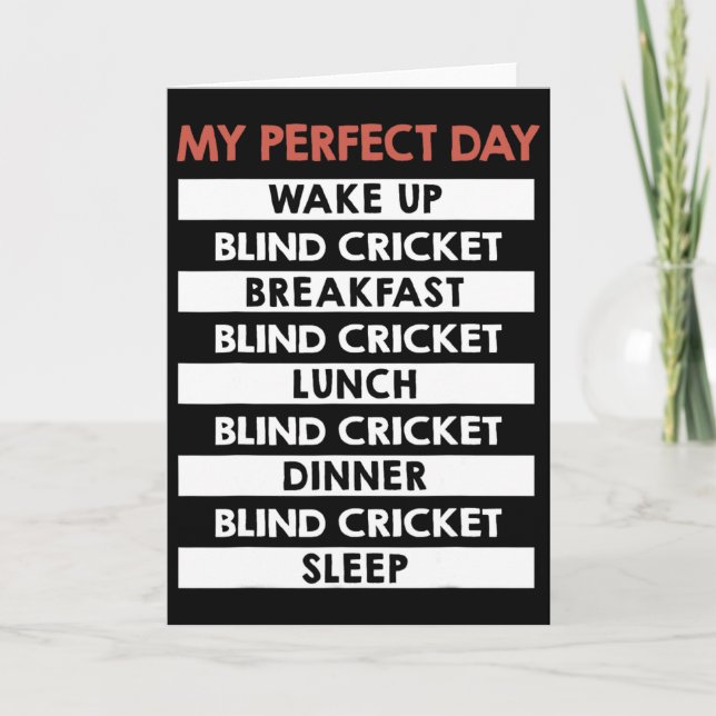 Blind Cricket My Perfect Day Player Day Routine  Card (Front)