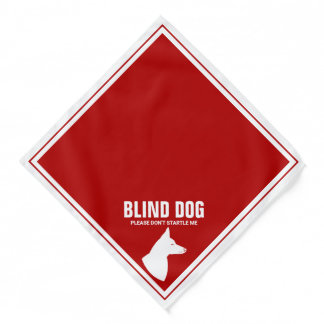 Blind Dog With Pricked Ears Red And White Colors Bandana