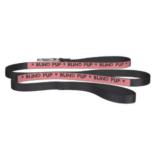 Blind Pup Dog Pet Leash Maureen Girard Rescue