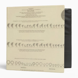 Blindness, Statistical US Lithograph 1870 3 Ring Binder