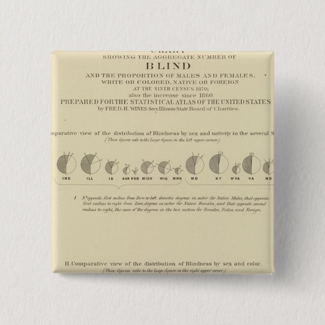 Blindness, Statistical US Lithograph 1870 Pinback Button (Front)