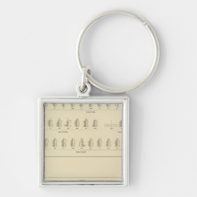 Blindness, Statistical US Lithograph Keychain (Front)