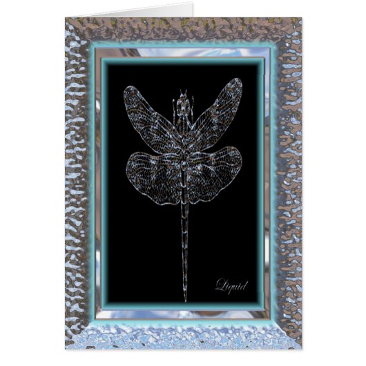 Blindsticka Dragonfly (Front)