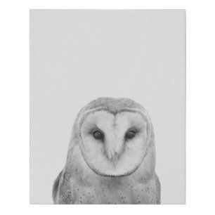 Blinky the owl faux canvas print