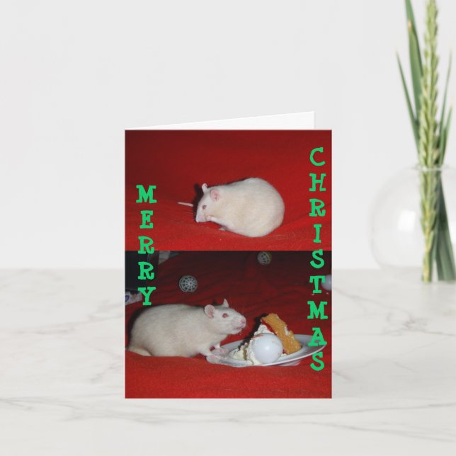 Bliss, Bliss01, CHRISTMAS, MERRY Holiday Card (Front)
