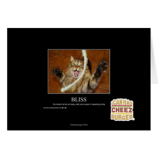 Bliss Cards (Front Horizontal)