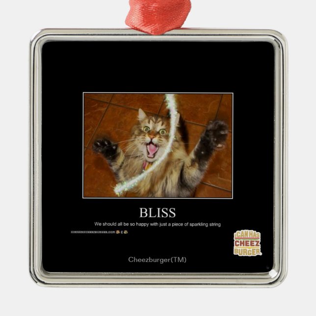 Bliss Metal Ornament (Front)