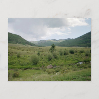 Bliss Postcard