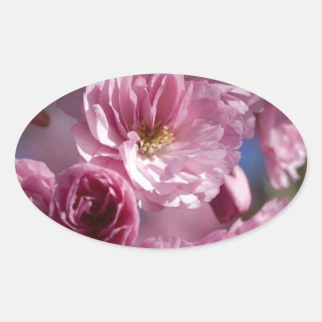 Blissful Blossoms Oval Sticker (Front)