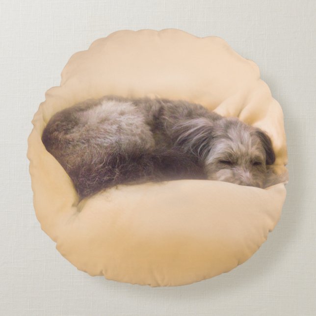 Blissful Sleep with a Mixed-Breed Dog (Green) Round Pillow (Front)