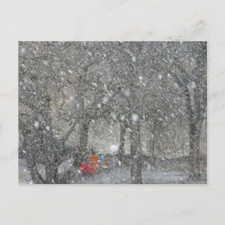 Blizzard forest postcard