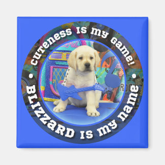 Blizzard Name magnet