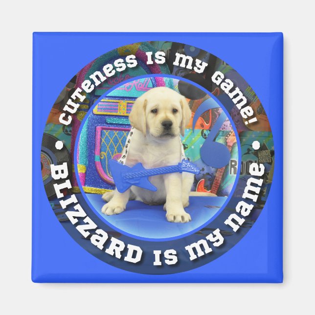 Blizzard Name magnet (Front)