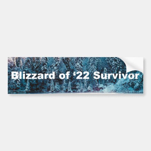 Blizzard of 2022 Survivor Bumper Sticker
