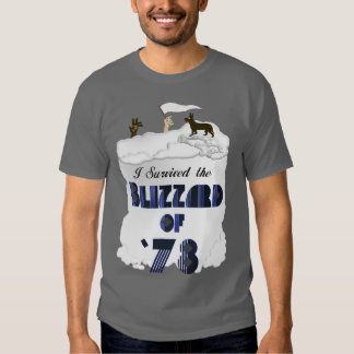 Blizzard T-Shirts & Shirt Designs | Zazzle