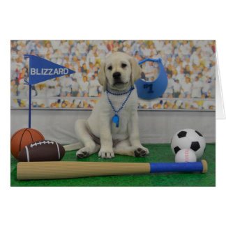 Blizzard Sports Card