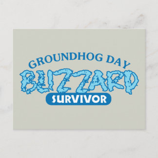Blizzard Survivor Postcard