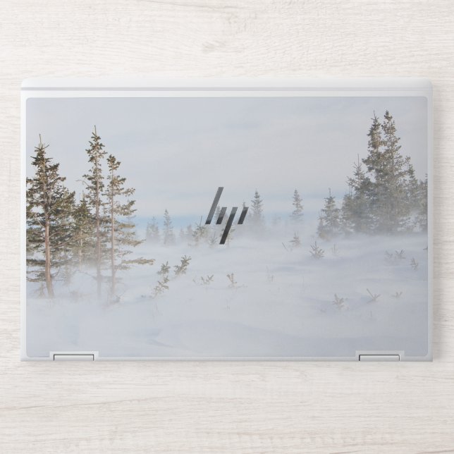  Blizzard White EliteBook X360 1030 G2  HP Laptop  HP Laptop Skin (Front)