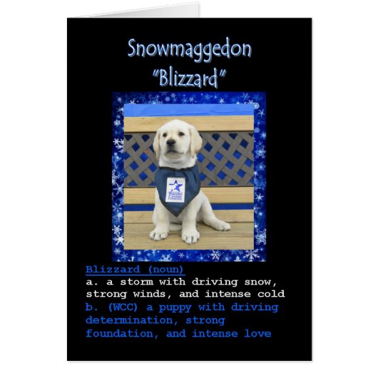 Blizzard's Name Card (Front)