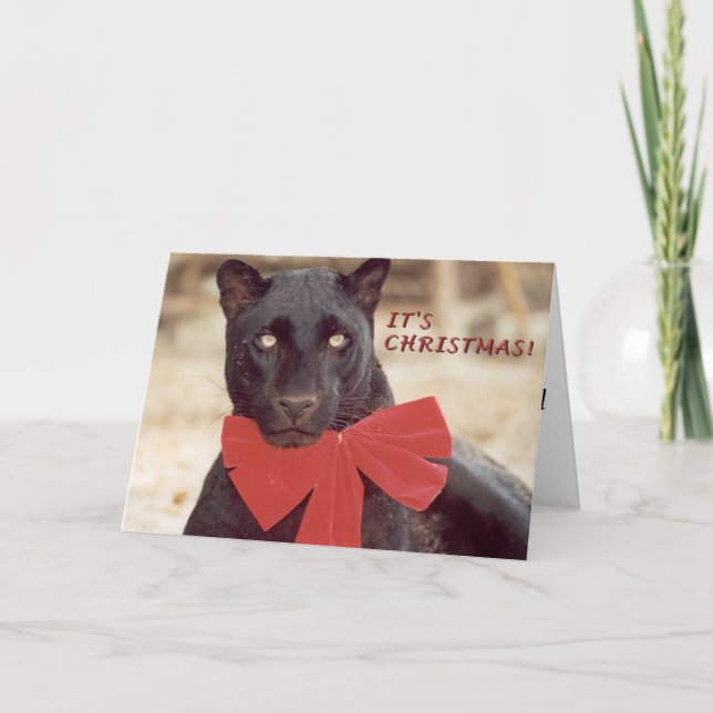 Blk Leopard holiday bow Card (Front)