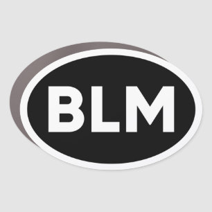 BLM - Black Lives Matter Anti-Trump Bumper Car Magnet