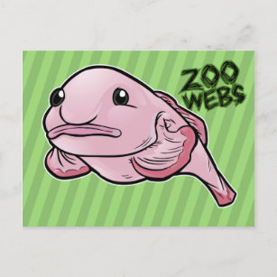 Mr. Blob fish Happy Postcard for Sale by Mannyfog