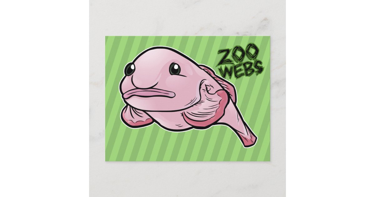 Anatomy of A Blobfish Funny Ugly Fish Meme | Postcard