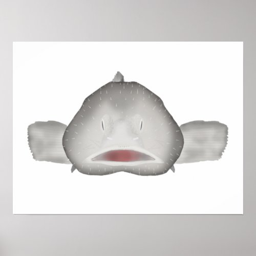 Blobfish Poster