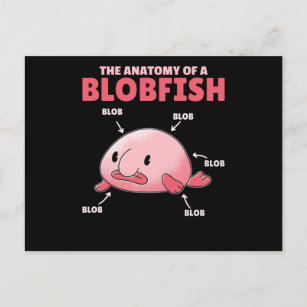 Funny Blobfish Gift Girls Boys Underwater Blobfish Postcard for Sale by  DSWShirts