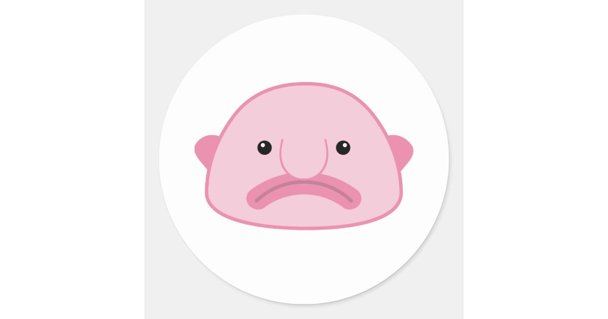  Blobfish Is My Spirit Animal, Funny Memes, Meme Gifts