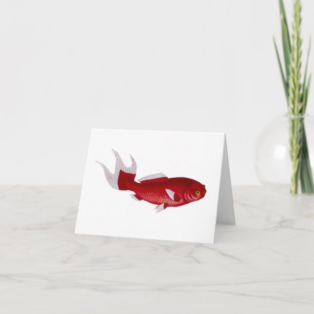 Bloch Goldfish card (Front)