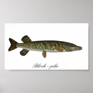 Bloch - pike poster