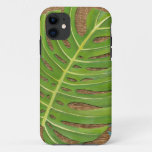 Block Print Palm on Wicker Background iPhone 11 Case