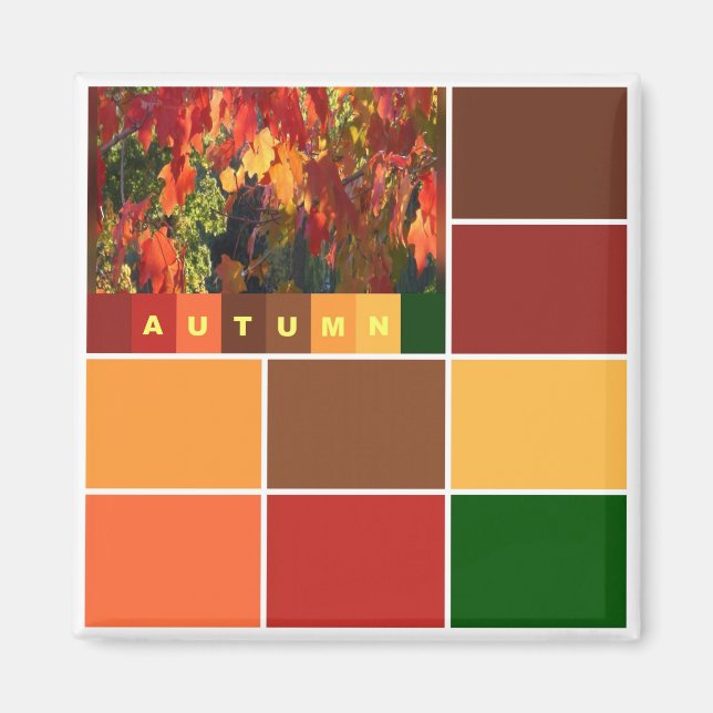 Blocks of Autumn Colors Magnet (Front)