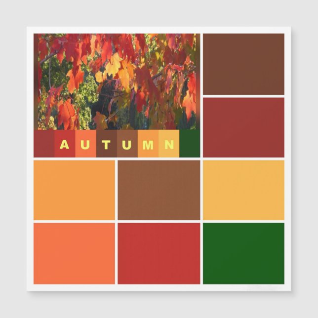 Blocks of Autumn Colors Magnetic card (Front)