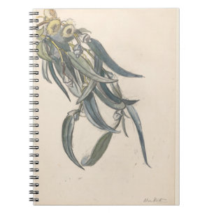 Bloeiende tak van een eucalyptus  notebook