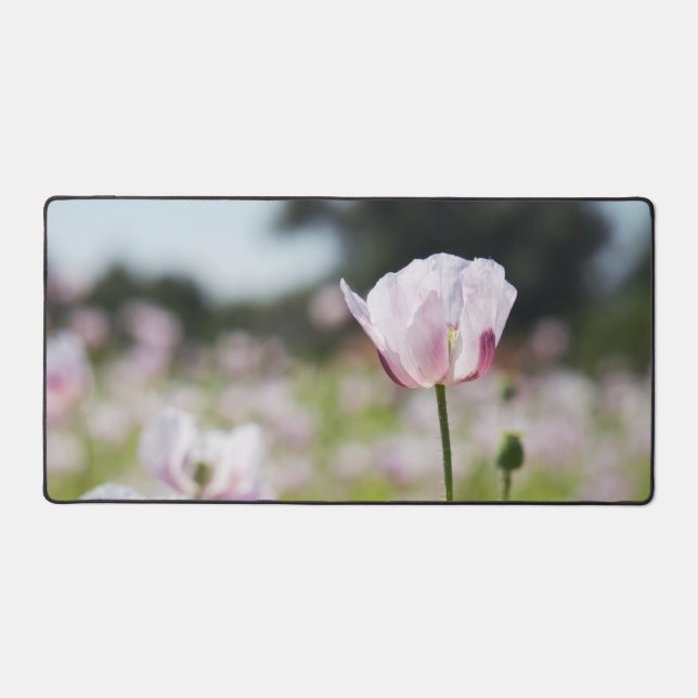 Bloemen veld met close up bloeiende lila bloem. desk mat (Front)