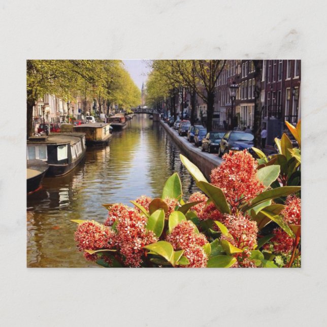 Bloemgracht Amsterdam Summer Postcard (Front)