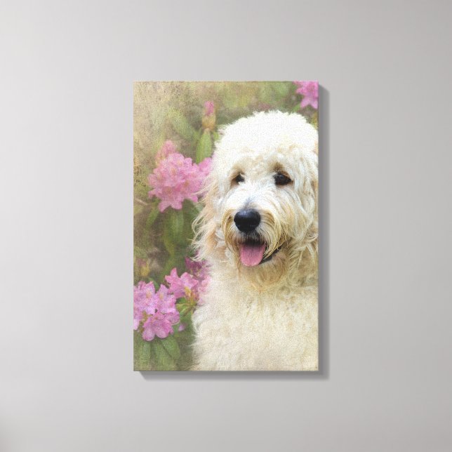 blond goldendoodle dog in garden canvas print (Front)