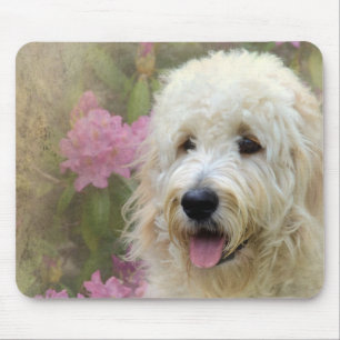 blond goldendoodle in garden mouse pad
