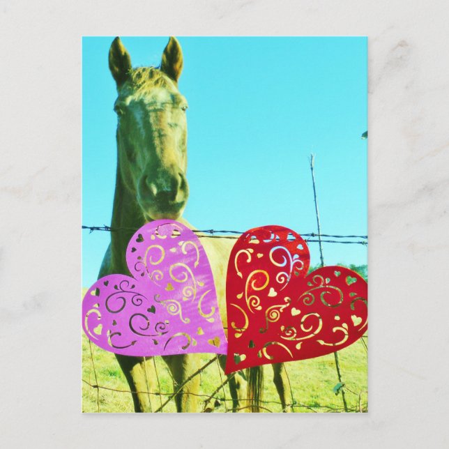 Blond horse and Pink and Red Hearts Postcard (Front)