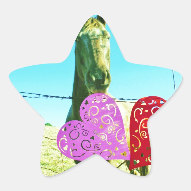 Blond horse and Pink and Red Hearts Star Sticker (Front)