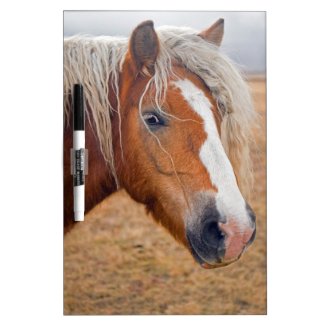 Blond Horse Dry Erase Board