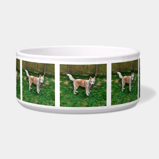 Blond Husky Girl Ceramic Pet Bowl
