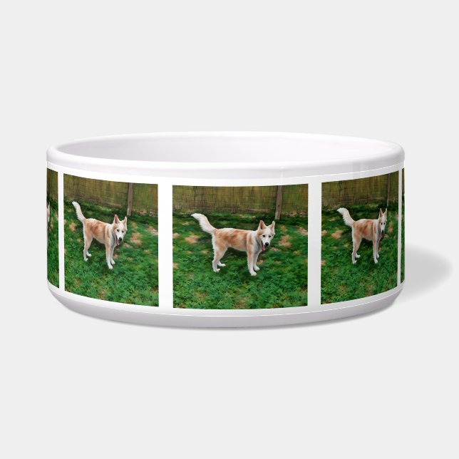 Blond Husky Girl Ceramic Pet Bowl (Front)