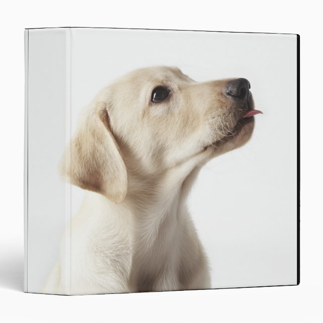 Blond Labrador puppy sticking out tongue Binder (Front/Spine)