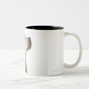 Blond Labrador puppy sticking out tongue Two-Tone Coffee Mug