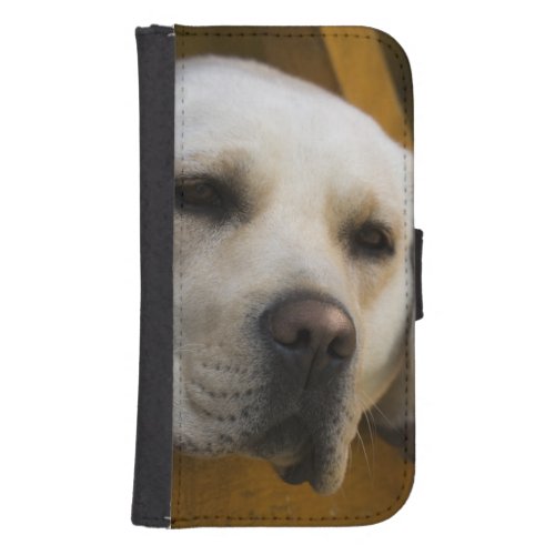 Blond Labrador retriever Patagonia Chile Wallet Phone Case For Samsung Galaxy S4